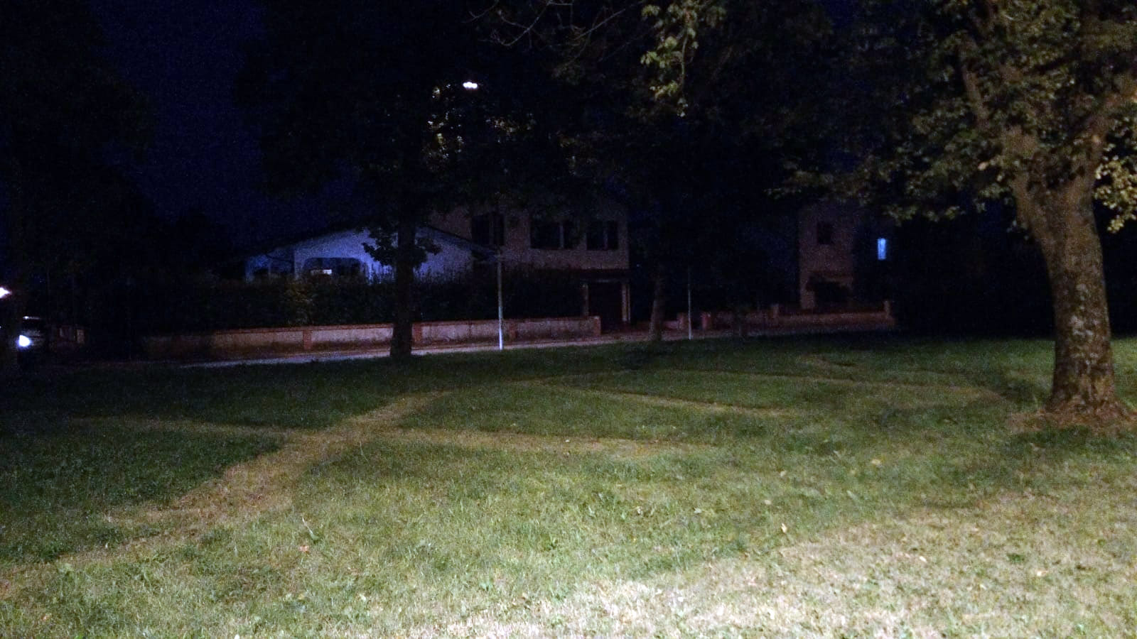 Bagnacavallo, ignoti scrivono Dux sull’erba del Parco del Senio