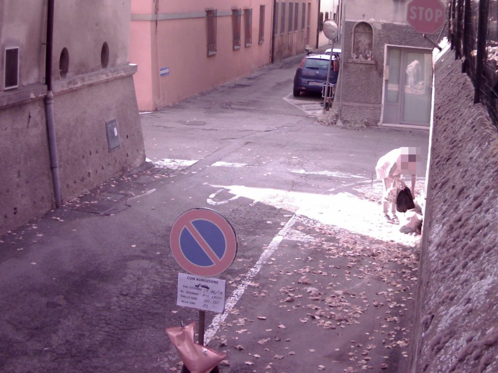 Abbandono rifiuti, a Massa Lombarda cittadini colti in flagranza dalle foto trappole