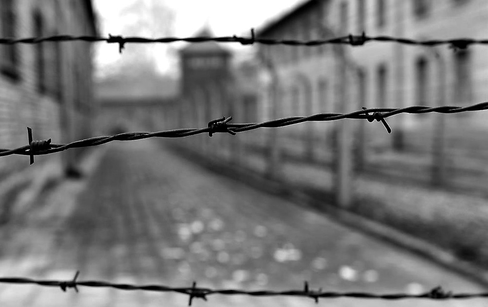Giorno della Memoria, a Imola previsti spettacoli, incontri e presentazioni di libri