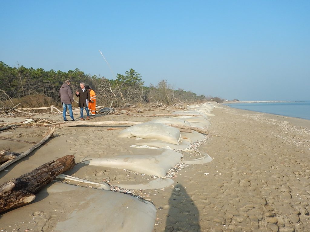 Lido di Dante, partiti i lavori per la difesa della costa e della pineta Ramazzotti