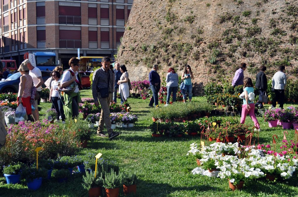 Piante, fiori e Dog Day al Lugo Garden Festival