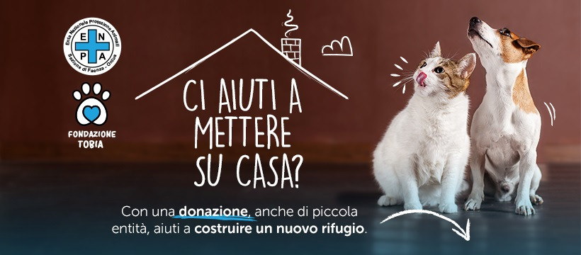 Faenza, una raccolta fondi per realizzare il nuovo rifugio del cane