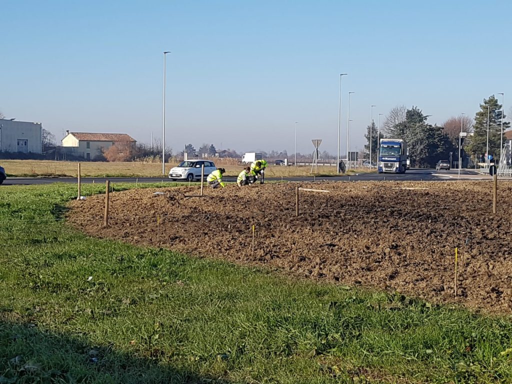 Faenza, nella rotatoria del casello autostradale crescerà un bosco