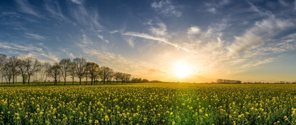 Webinar sul paesaggio proposto da azienda romagnola