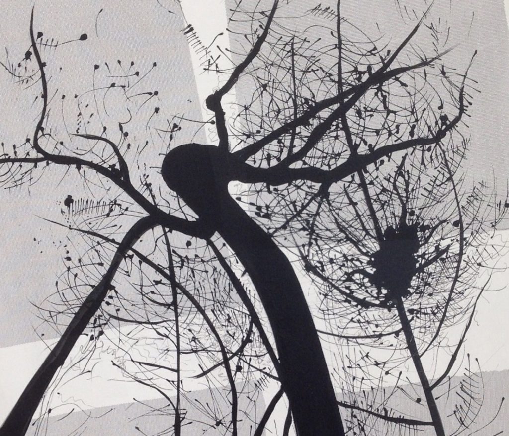 AscomArte riparte dopo l’emergenza, inaugura la mostra di Rosetta Berardi