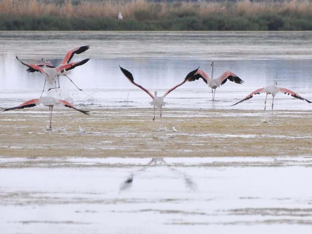 “In Salina tra Panorami di Acqua e Cielo”: mostra fotografica a cura di Cooperativa Atlantide