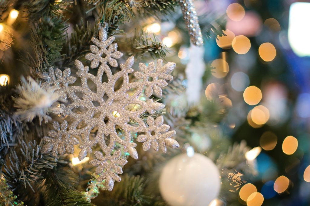 In piazza del Popolo l’accensione dell’albero di Natale donato da Andalo