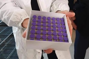 Prosegue la campagna vaccinale: in arrivo le nuove forniture, oltre 52mila dosi