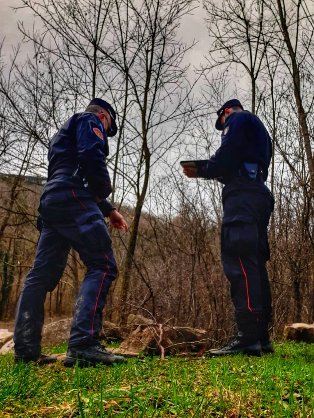 Abbandonati due serpenti lungo la sponda del fiume Bidente a Santa Sofia