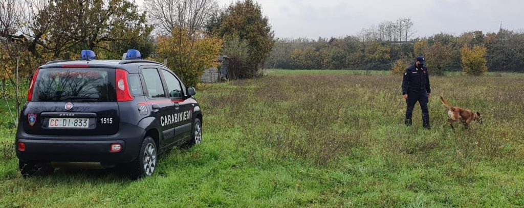 Bocconi avvelenati a Civitella di Romagna, i carabinieri forestali individuano il responsabile