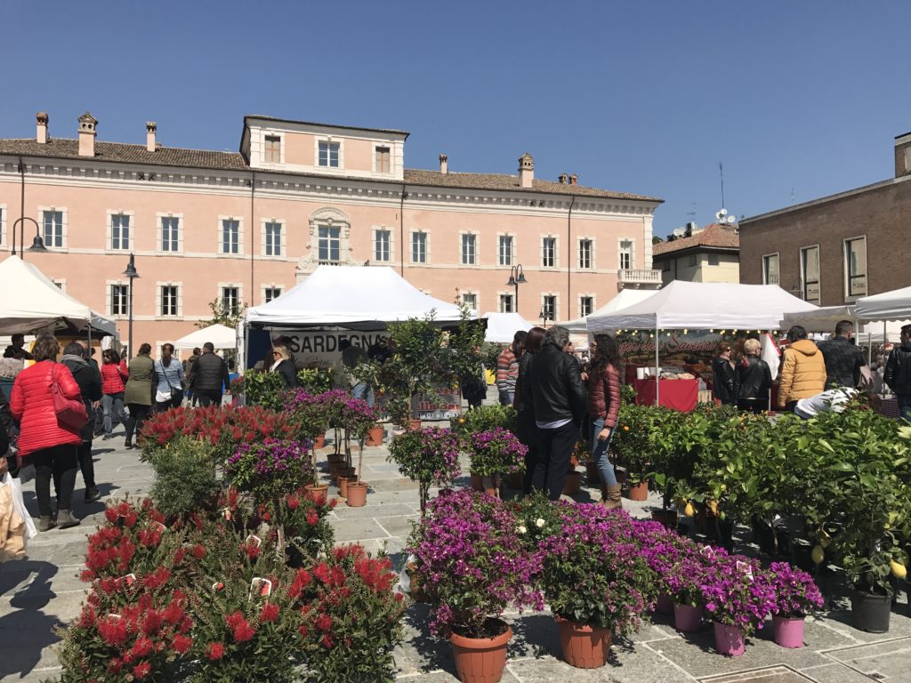 Ravenna in fiore: maggio mese delle rose