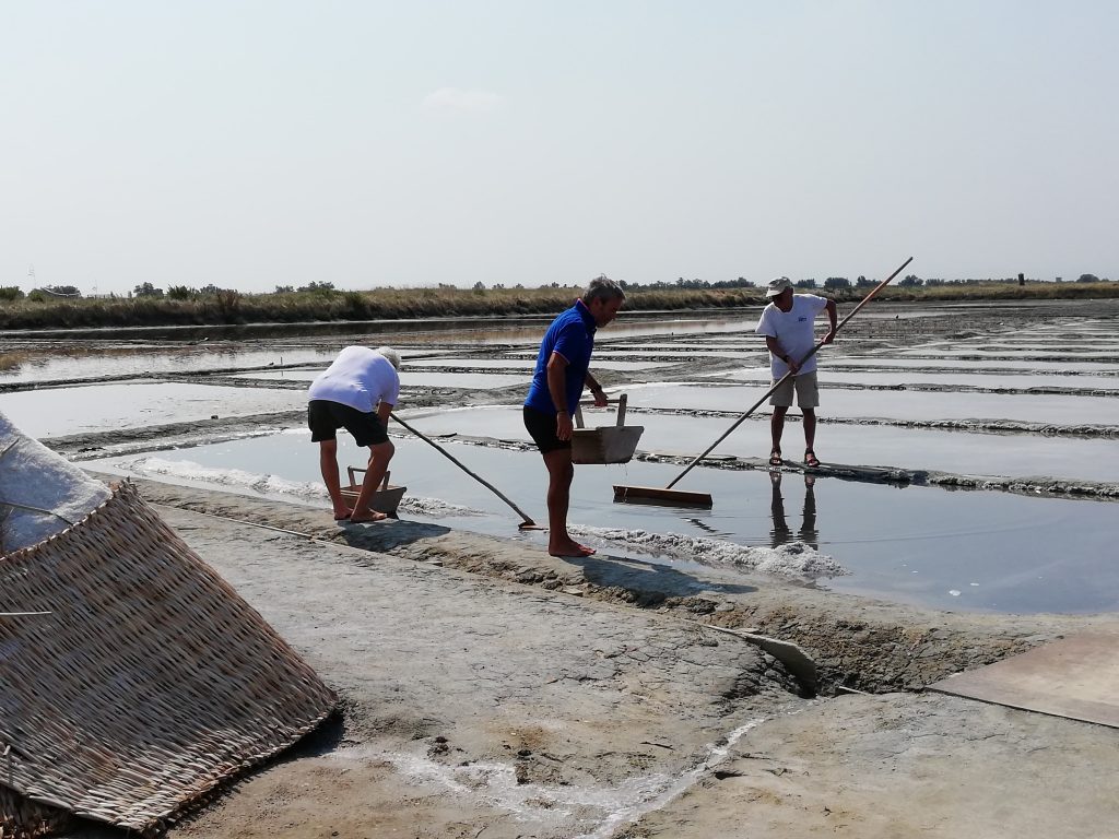 CERVIA: LA SALINA CAMILLONE VICINA A “LUOGHI DEL CUORE FAI 2022”