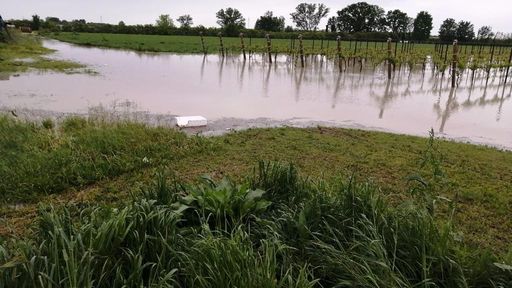 AGENZIA DIRE: Maltempo, l’agricoltura della Romagna in ginocchio, arriva Lollobrigida