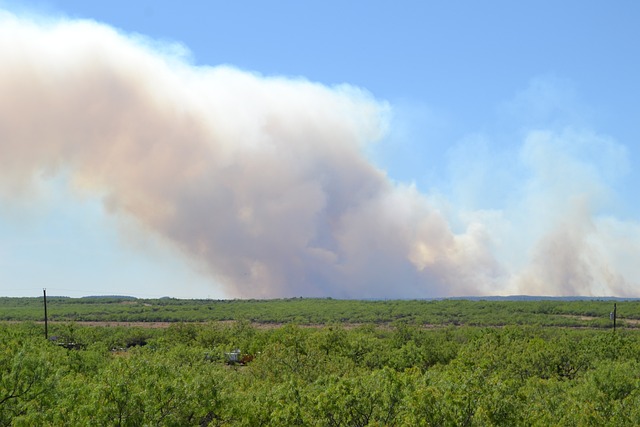 REGIONE: FORTE VENTO E TANTE CHIAMATE AI VIGILI DEL FUOCO